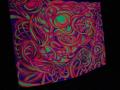 DSCN1529